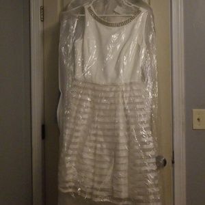 NWT white knee length dress size 10